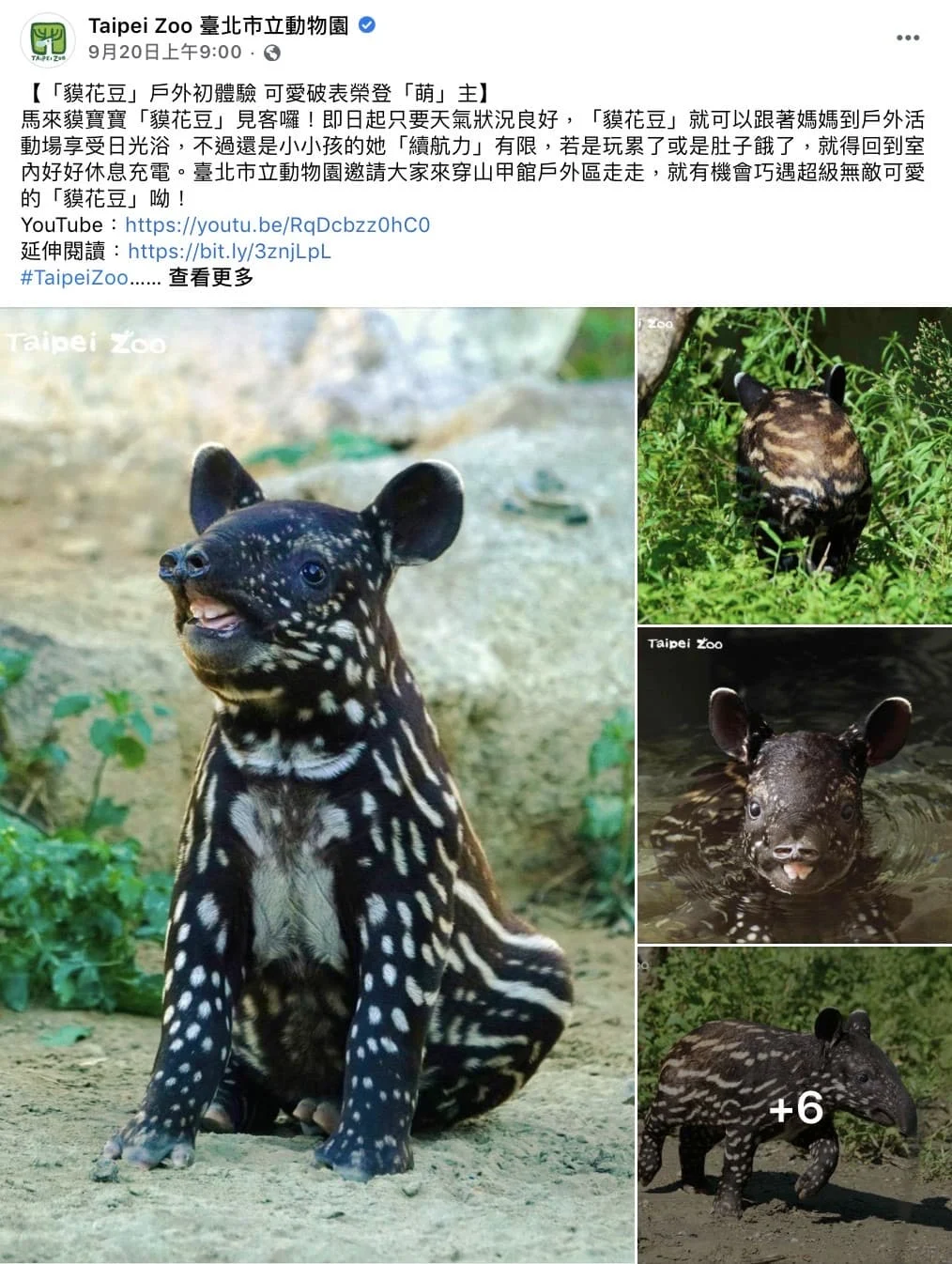 Messageimage 1728034069420